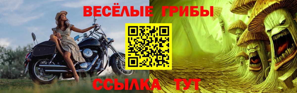 Псилоцибиновые грибы ЛСД  Вход с VPN  Шали 